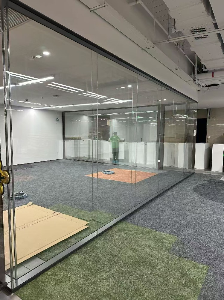 125 panoramic double glass+hidden frame door leaf